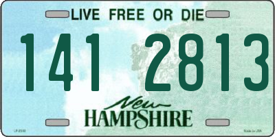 NH license plate 1412813