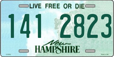NH license plate 1412823