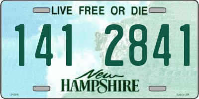 NH license plate 1412841