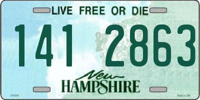 NH license plate 1412863