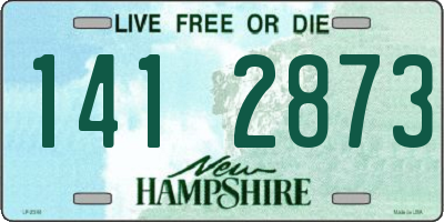 NH license plate 1412873