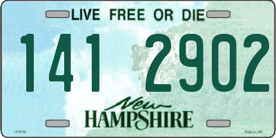 NH license plate 1412902