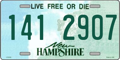 NH license plate 1412907
