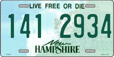NH license plate 1412934