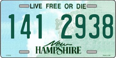 NH license plate 1412938