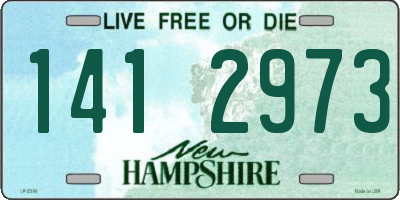 NH license plate 1412973