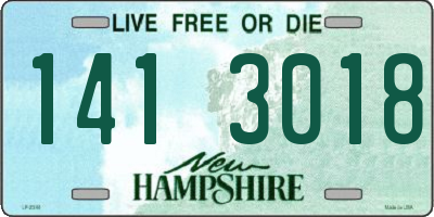 NH license plate 1413018