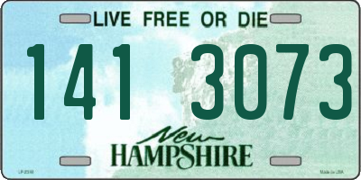 NH license plate 1413073