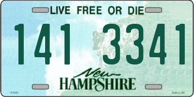 NH license plate 1413341