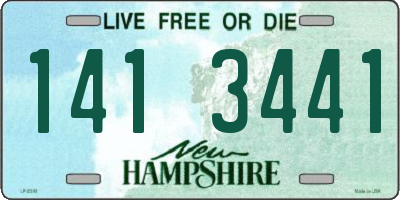 NH license plate 1413441