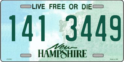 NH license plate 1413449