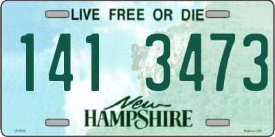 NH license plate 1413473