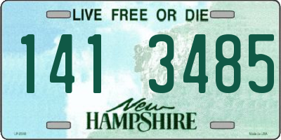 NH license plate 1413485