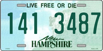 NH license plate 1413487