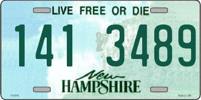 NH license plate 1413489
