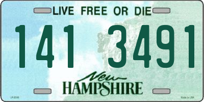 NH license plate 1413491