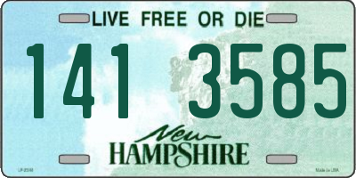 NH license plate 1413585