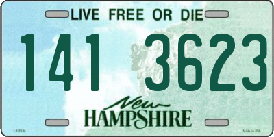 NH license plate 1413623