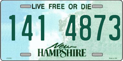 NH license plate 1414873