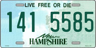 NH license plate 1415585