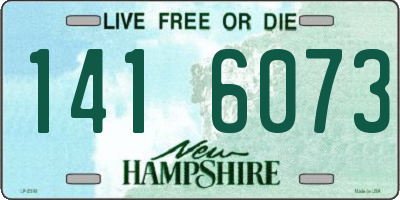NH license plate 1416073