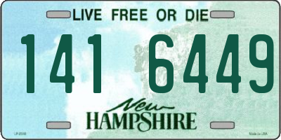 NH license plate 1416449