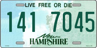 NH license plate 1417045