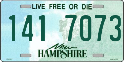 NH license plate 1417073