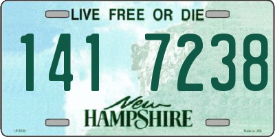 NH license plate 1417238