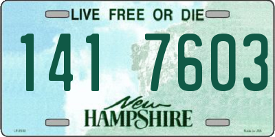 NH license plate 1417603