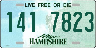 NH license plate 1417823