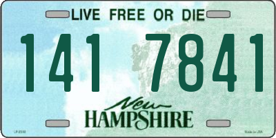 NH license plate 1417841