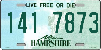 NH license plate 1417873