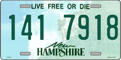 NH license plate 1417918