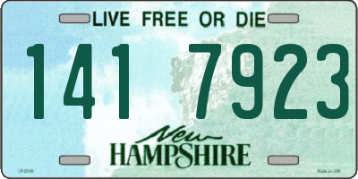 NH license plate 1417923