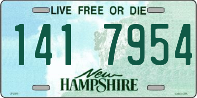 NH license plate 1417954