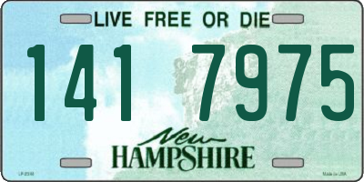 NH license plate 1417975