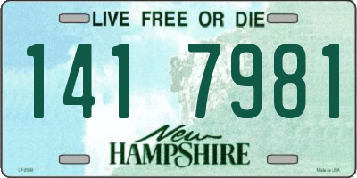 NH license plate 1417981