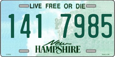 NH license plate 1417985