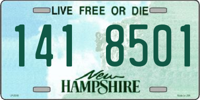 NH license plate 1418501