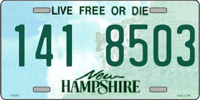 NH license plate 1418503
