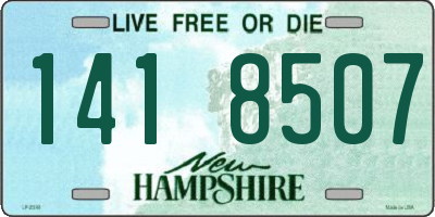 NH license plate 1418507