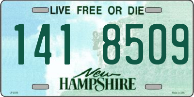 NH license plate 1418509