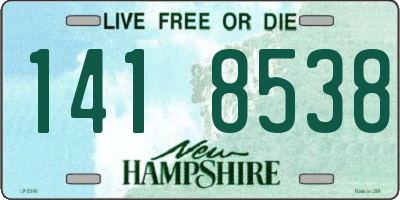 NH license plate 1418538