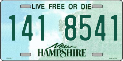 NH license plate 1418541
