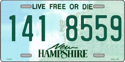 NH license plate 1418559
