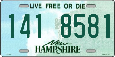 NH license plate 1418581