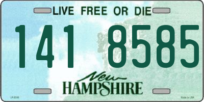 NH license plate 1418585