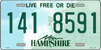 NH license plate 1418591