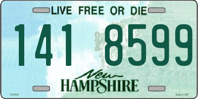 NH license plate 1418599